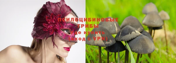 ECSTASY Слюдянка